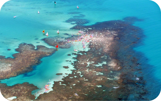 Imagem da Praia da Pajuçara em Alagoas